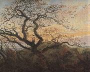 Caspar David Friedrich Tree with crows painting
